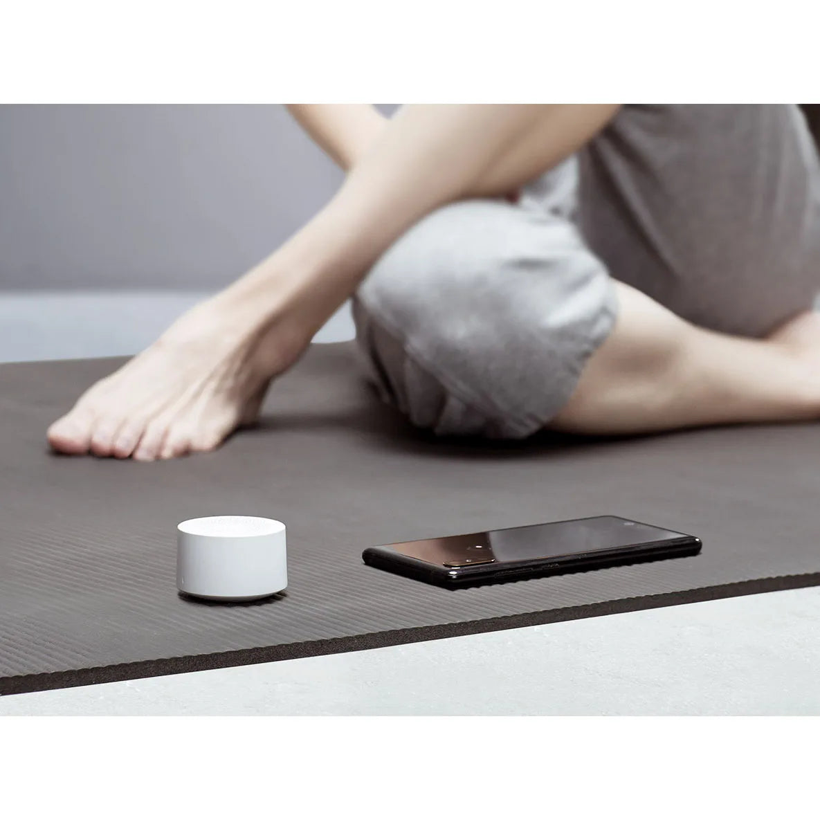 Xiaomi AI Portable Bluetooth Speaker with Smart Voice Control